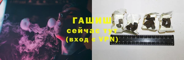 ешки Алексин
