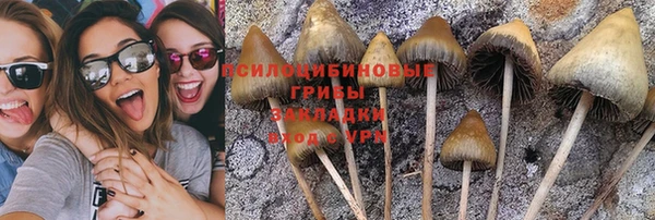ешки Алексин