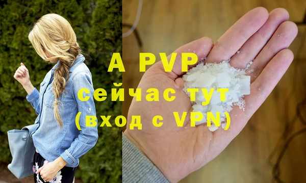 ешки Алексин