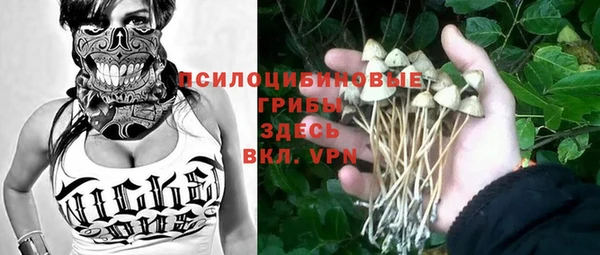 прущая мука Алзамай