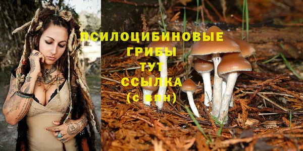 ешки Алексин