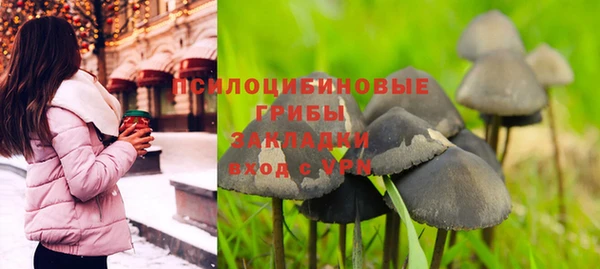 ешки Алексин